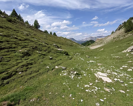 20210725-15h45m40s-PXL_20210725_134540404-V3