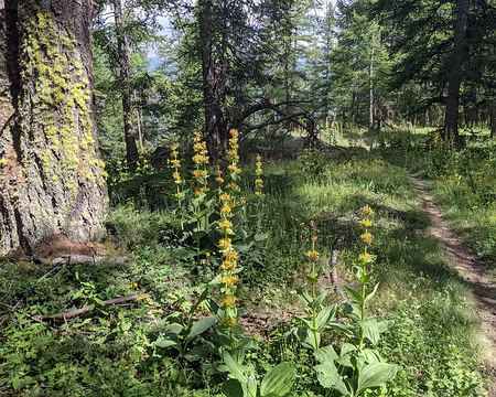 20210726-16h13m10s-PXL_20210726_141310290-V3