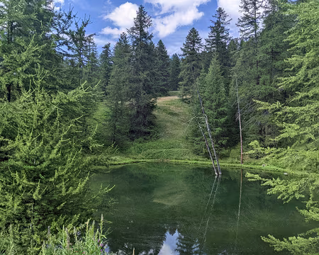 20210726-17h07m10s-PXL_20210726_150710429-V3