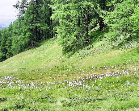 20210727-14h50m27s-20210727_145027-V3