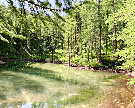 20210729-10h11m37s-IMG_0486-V3