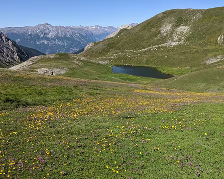 20210729-11h47m47s-PXL_20210729_094747157-V3