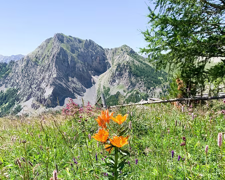 20210729-12h29m39s-IMG_0490-V3