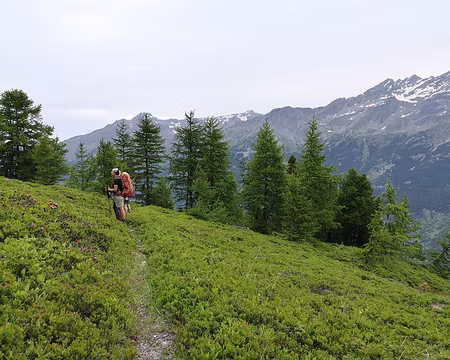 IMG_20210703_114532 Les premiers pas