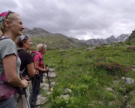 IMG_20210703_153245 Contemplation