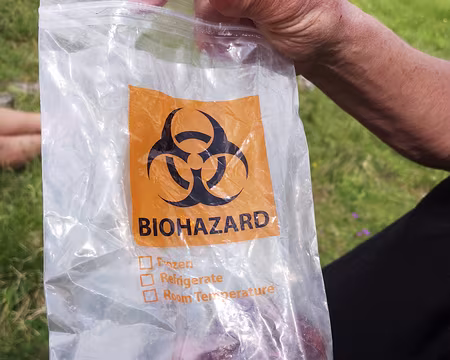 IMG_20210706_121227 On mange bio