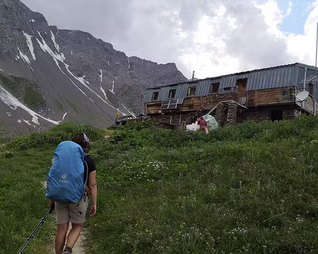 IMG_20210706_161840 Le refuge du petit chien