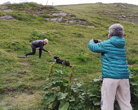 IMG_20210706_183719 petit chien et Bernadette