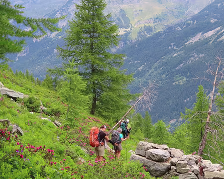 IMG_8472 Pas facile de trouver son chemin...