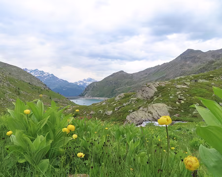 IMG_8497 Trolls devant le lac de Bissorte.