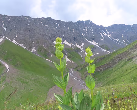 IMG_8723 La vallée qui mène aux Aiguilles d'Arves.