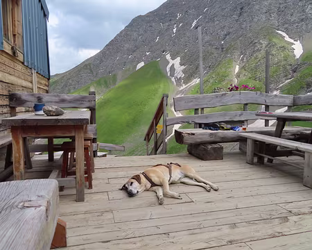 IMG_8727 Dur, la vie de chien !