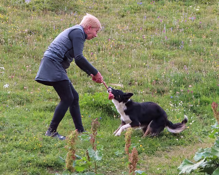 IMG_8731 Il veut jouer