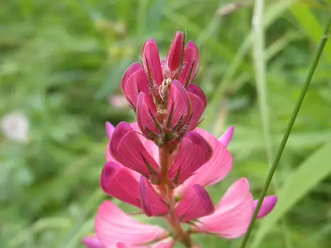 2021-07 Tour des Fiz