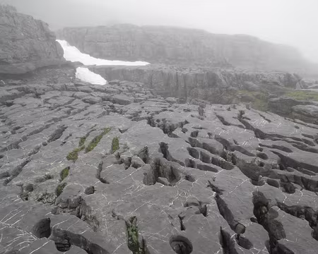 00015 désert de Platé