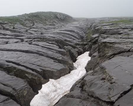 00017 les Grandes Platières