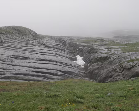 00019 les Grandes Platières
