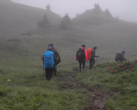 00023 combe des Foges