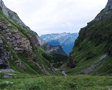 00074 Descente du vallon de Sales