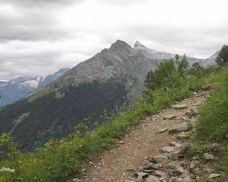 00092 montée au collet d'Anterne
