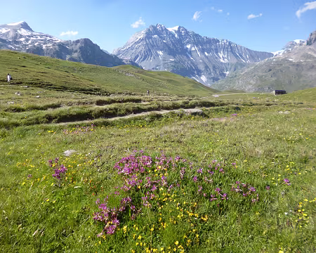 P1130929 La Grande Casse