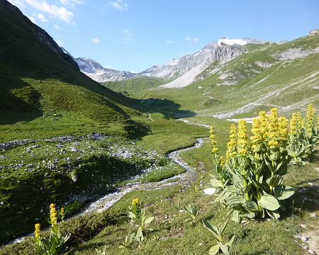 P1140025 Au fond le col de Chavière (alt. 2796 m)