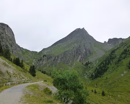 P1140076 J7 - Le vallon de l'Orgère