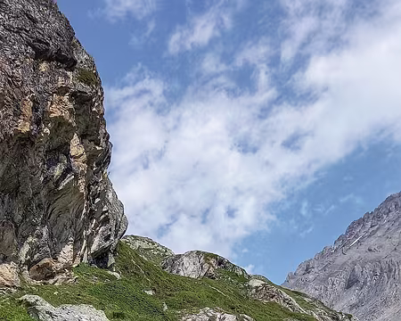 029v Au bord du sentier, elle est restée là un bon moment et nous aussi!