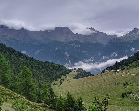 075v 28/07/21 Vallon de l'Orgère aux pins cembros centenaires. Le refuge à droite et Modane au loin.