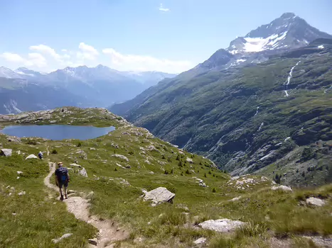 Dominique Dominique F, détail sortie