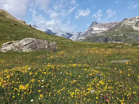 Hélène Hélène B, détail sortie