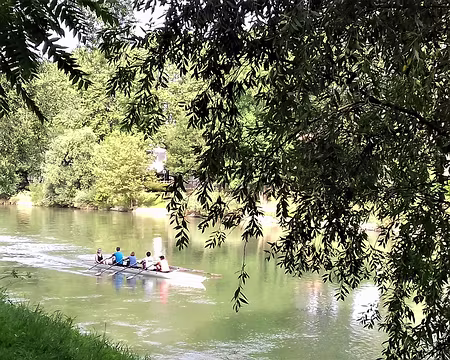 011 Aviron sur la Marne