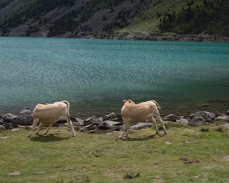 188_DSCF1276 Lac de Gaube