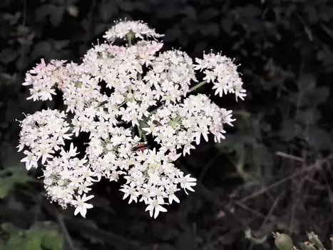 2021-08 Le Perray-en-Yvelines