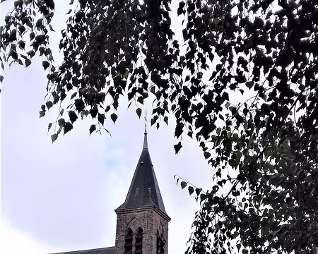 005 L’église Saint-André à Auffargis (1850) dans le Parc régional de la Haute Vallée de Chevreuse