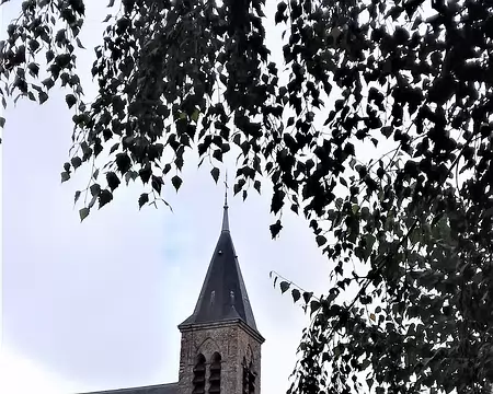 005 L’église Saint-André à Auffargis (1850) dans le Parc régional de la Haute Vallée de Chevreuse