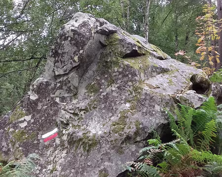 013 Le GR1C mène à l’Abbaye des Vaux-de-Cernay