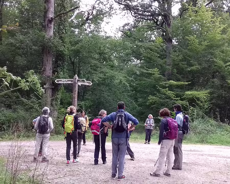 029 Carrefour forestier