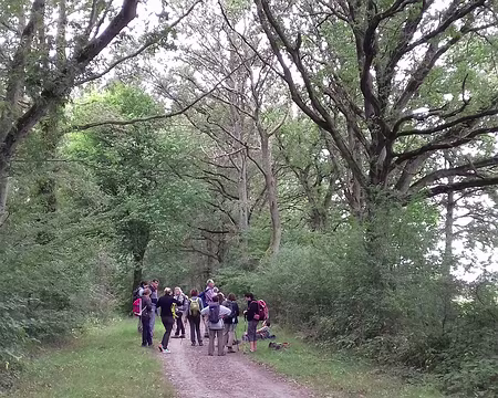 032 Une pause sur le chemin