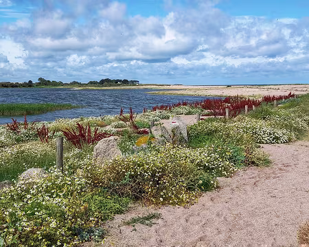 023 site naturel protégé POINTE DE LA LOGE MARAIS DE VRASVILLE COMMUNE DE COSQUEVILLE
