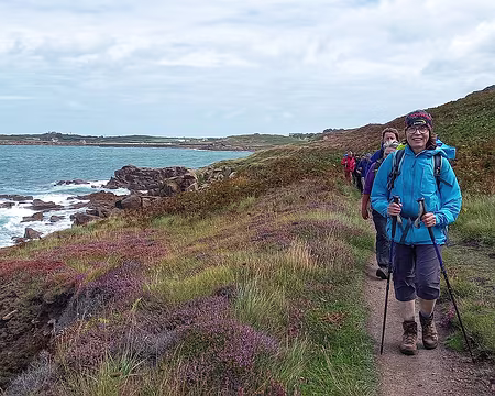 048 Dans les bruyères, festival de couleurs