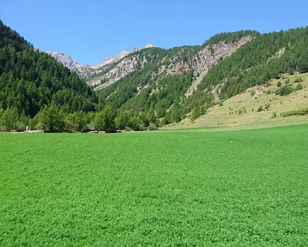 DSC_5822 L'arrosage a fonctionné !