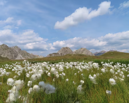 IMG_8827 Succession de lacs avec Linaigrette