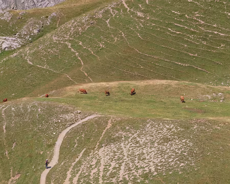 IMG_8898 Descente vers les granges de Furfande.