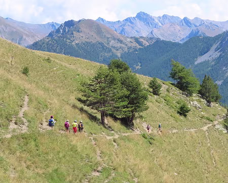 IMG_8925 Après le col de la Lauze ça descend. Mais on en veut encore. A part 3 personnes, on va attaquer une nouvelle côte.