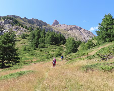 IMG_8931 Une bonne montée à un bon rythme. Finalement la Dent du Ratier est bien à notre gauche.