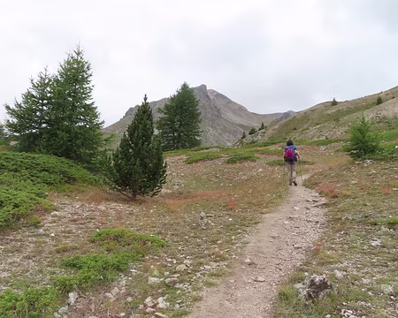 IMG_8956 On commence souvent par monter. Comme ça, on redescendra après...