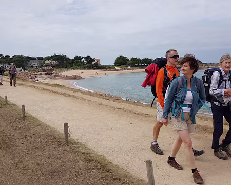 20210815_132432(0) Trégastel, île Renote