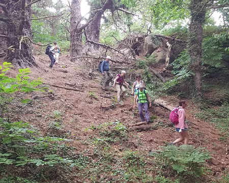 20210815_162954 Traouiero