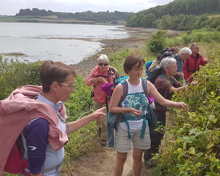 20210816_144557 Mûres